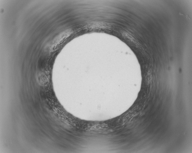 X0000056370824200508261400