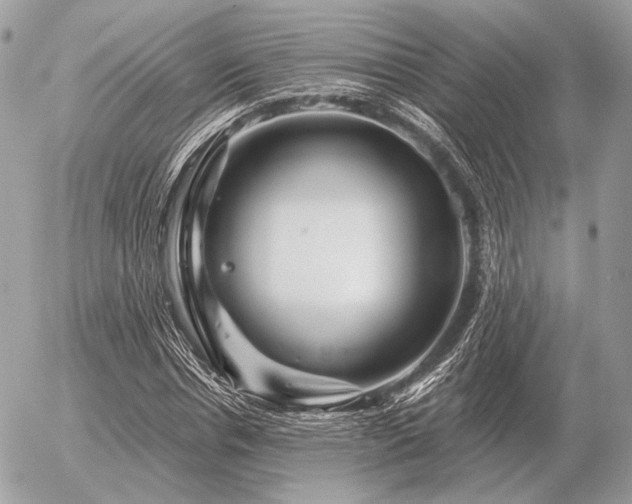 X0000056370826200508261401