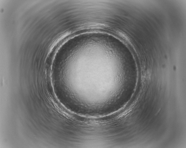 X0000056370827200508261401