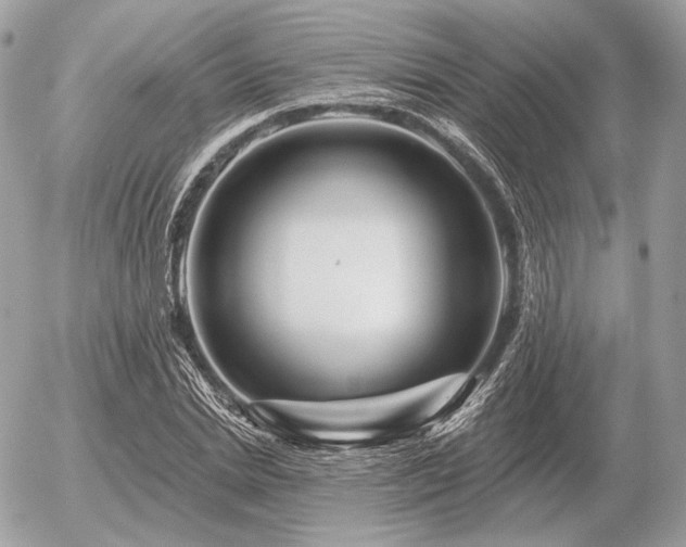 X0000056370830200508261401