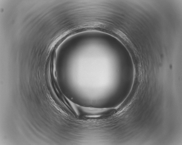 X0000056370834200508261401