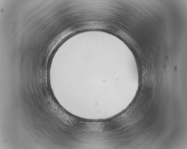 X0000056370836200508261401