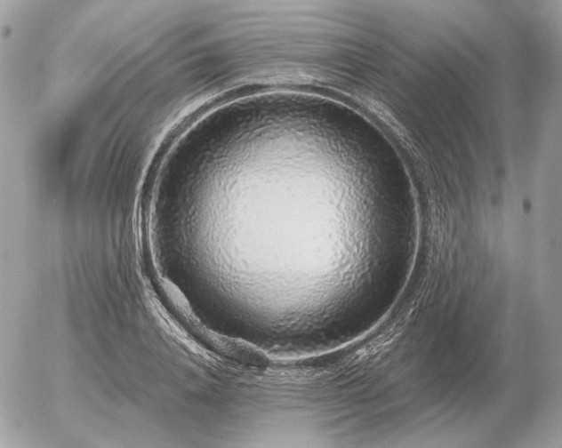 X0000056370840200508261401