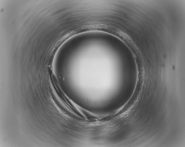 X0000056370841200508261401