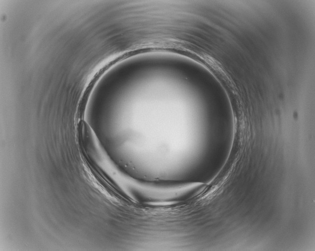 X0000056370846200508261401
