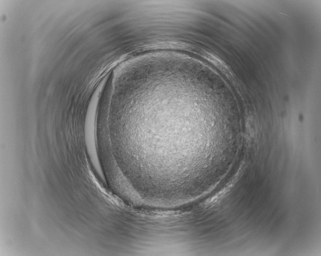 X0000056370849200508261401
