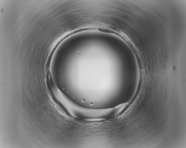 X0000056370854200508261401