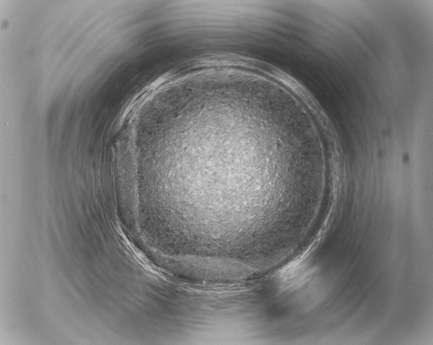 X0000056370857200508261401