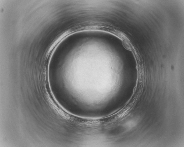 X0000056370859200508261401