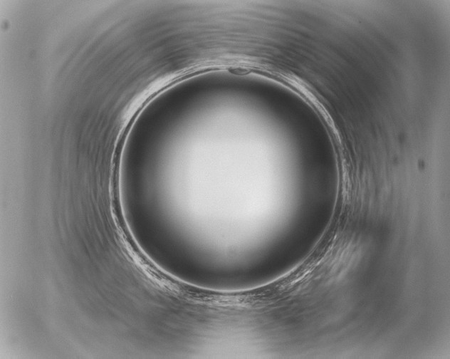 X0000056370861200508261401