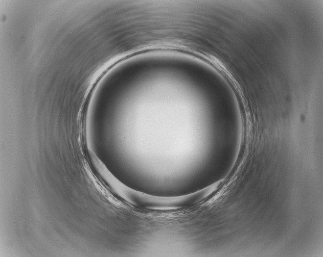 X0000056370862200508261401