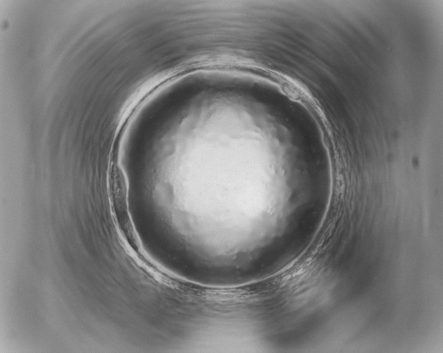 X0000056370863200508261401