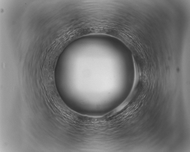 X0000056370865200508261400