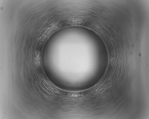 X0000056370866200508261400