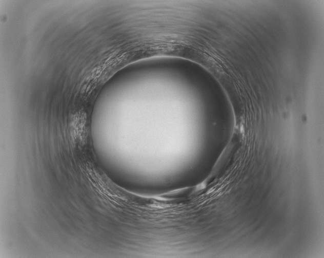 X0000056370867200508261400