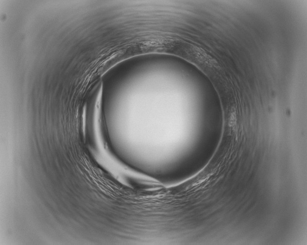X0000056370868200508261400