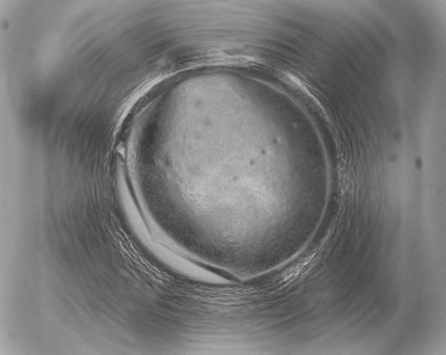 X0000056370875200508261400