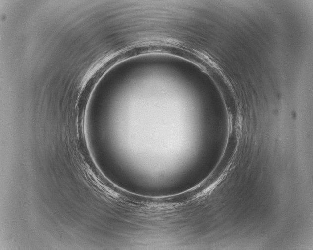 X0000056370877200508261400