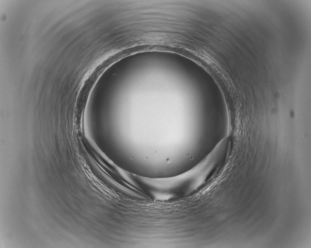 X0000056370880200508261400