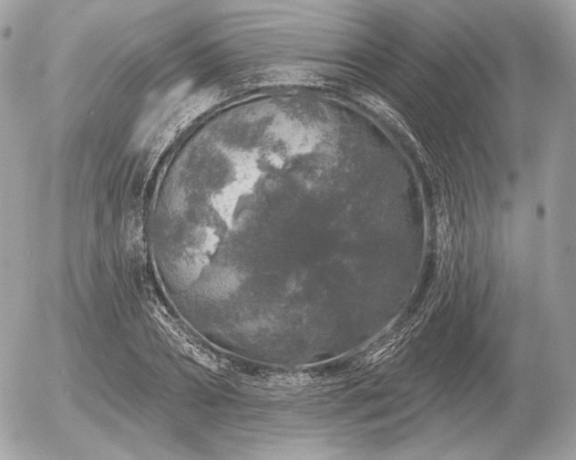 X0000056370882200508261400