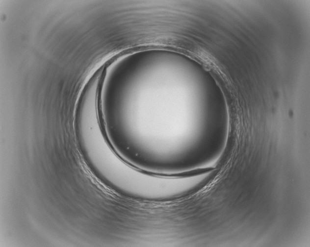 X0000056370884200508261400