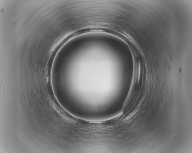 X0000056370885200508261400