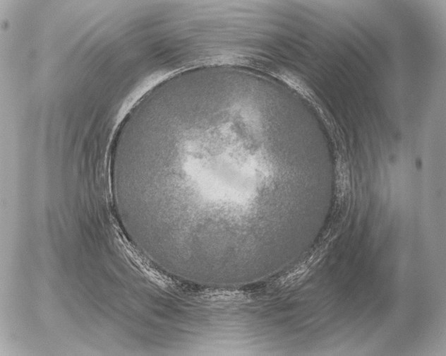 X0000056370886200508261400