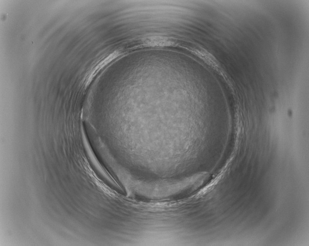 X0000056370889200508261400