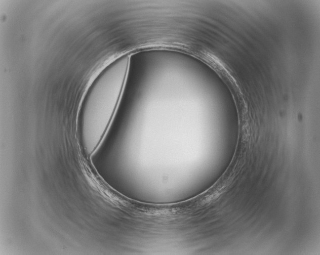 X0000056370892200508261400