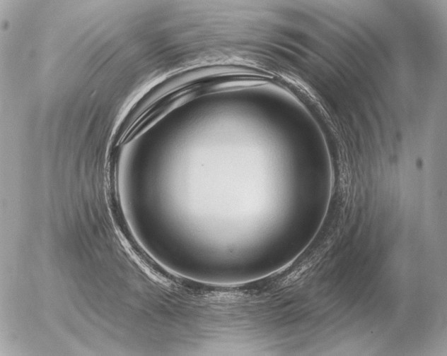 X0000056370894200508261400