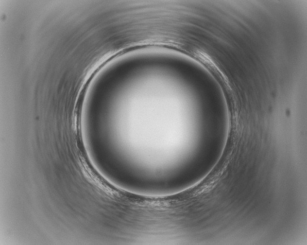 X0000056370900200508261400