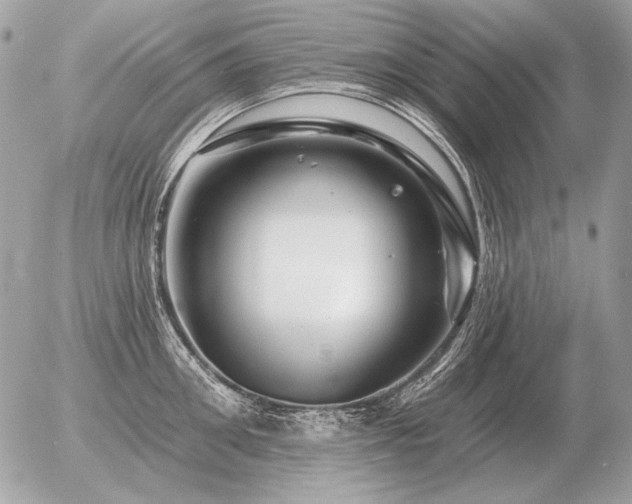 X0000056370906200508261400