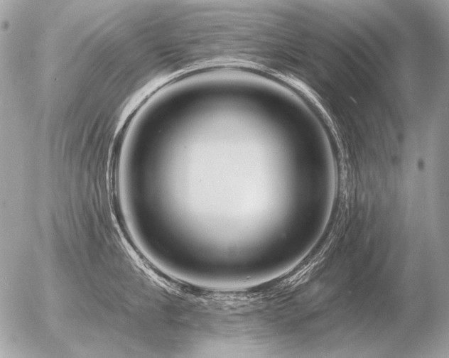 X0000056370910200508261400