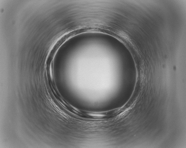 X0000056370924200508261359