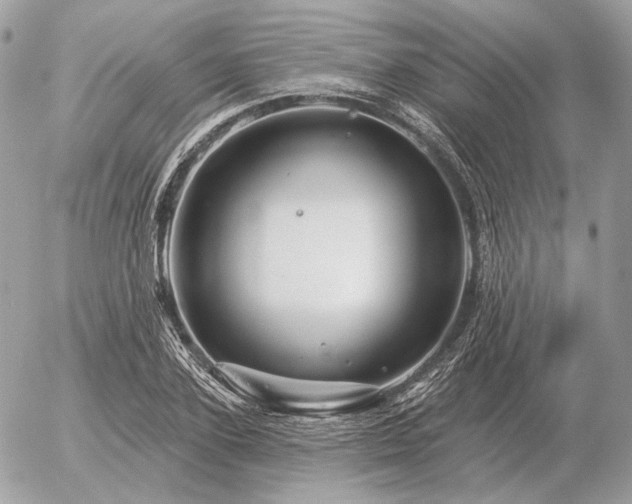 X0000056370931200508261359