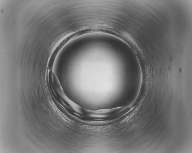 X0000056370932200508261359