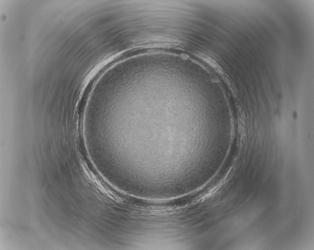 X0000056370933200508261359