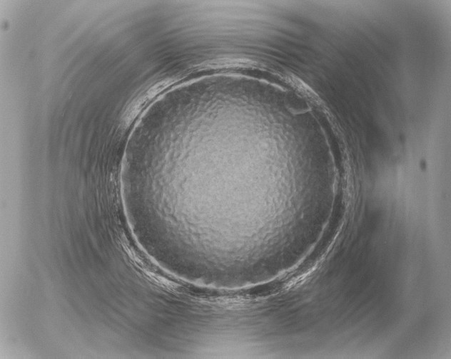 X0000056370937200508261359