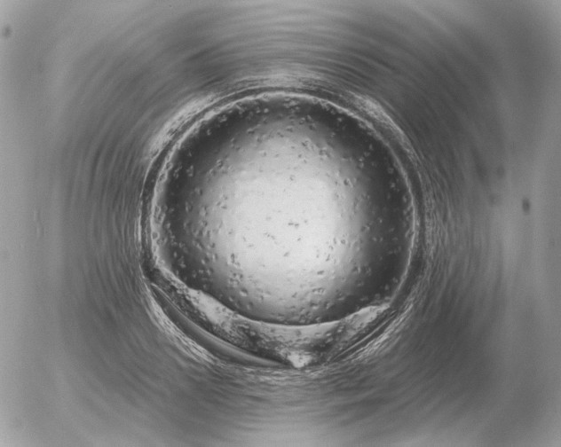 X0000056370938200508261359