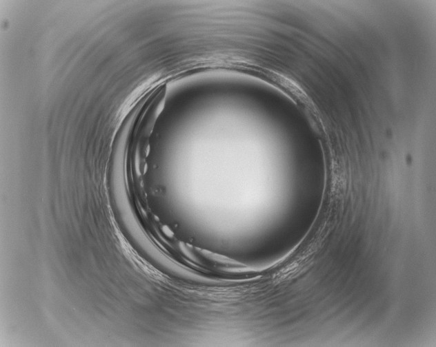 X0000056370946200508261359