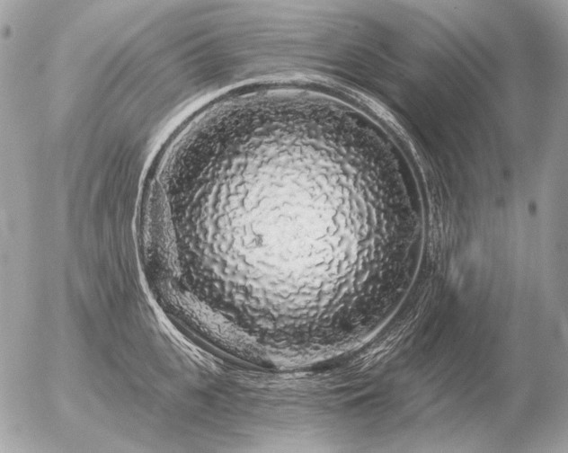 X0000056370951200508261359