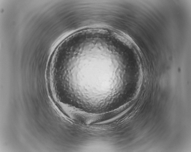 X0000056370959200508261400