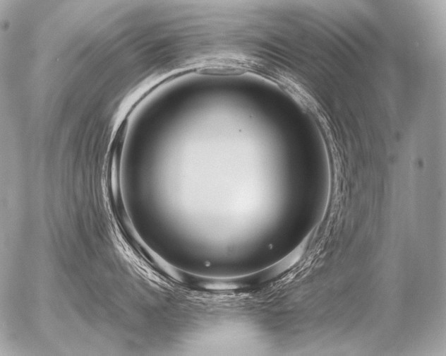 X0000056370960200508261400