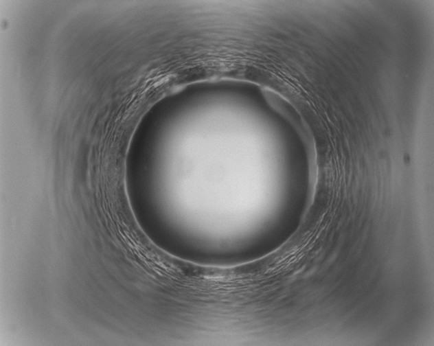 X0000056370961200508261359