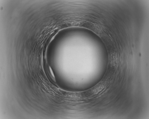 X0000056370962200508261359