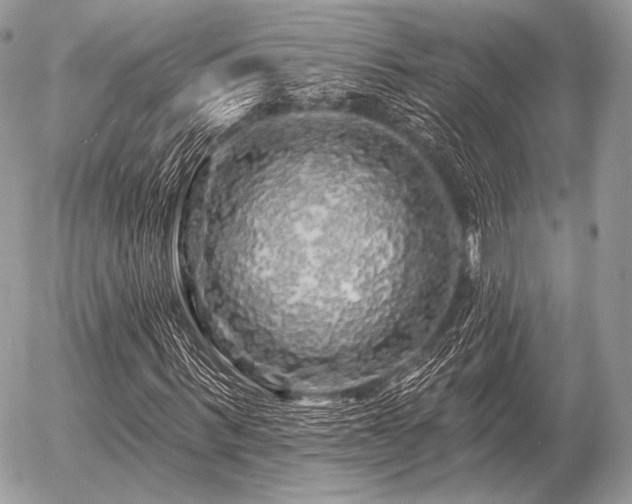 X0000056370963200508261359