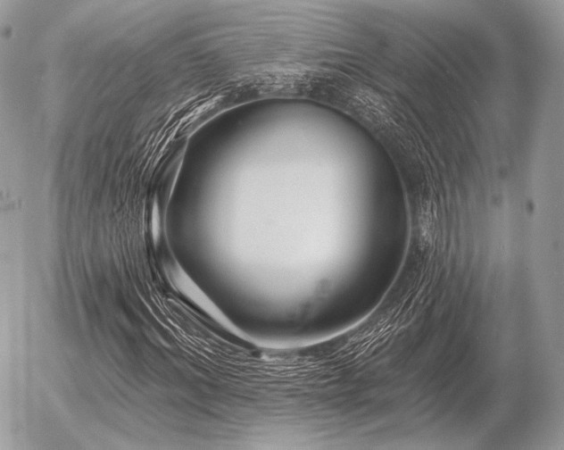 X0000056370964200508261359