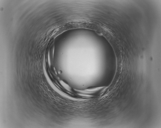 X0000056370965200508261359