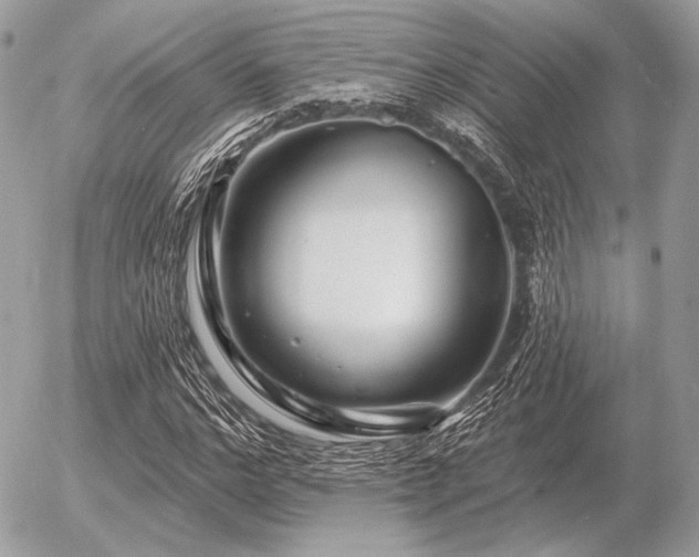 X0000056370968200508261359