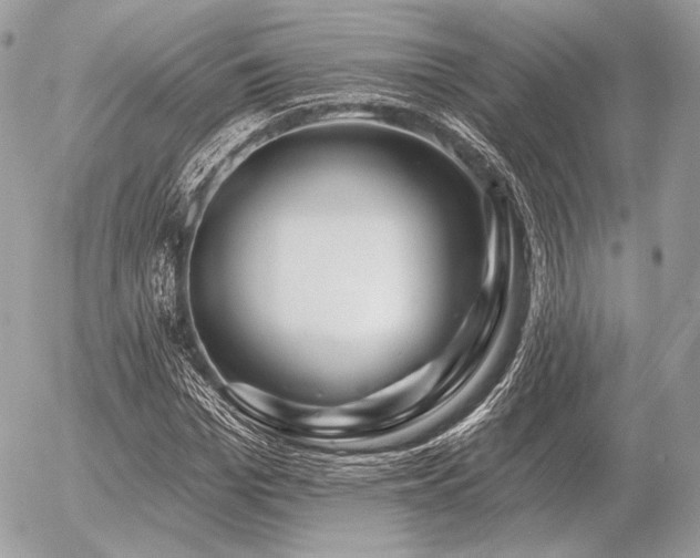 X0000056370969200508261359